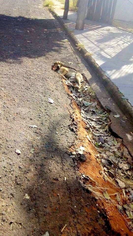 Kayanya Di 5 Gambar Ini Ada Yang Nggak Bener Deh, Yang Mana Coba